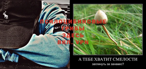 бошки Богородицк