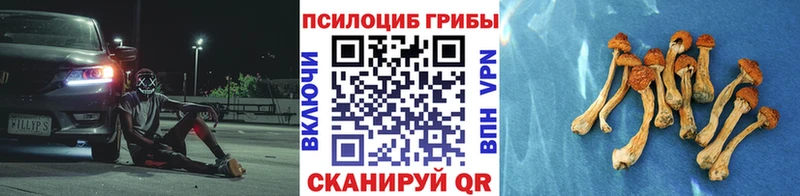 Галлюциногенные грибы мухоморы  купить наркоту  Орск 