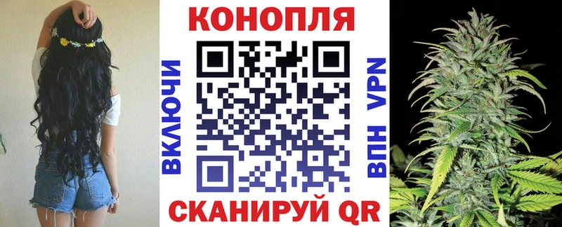 Каннабис SATIVA & INDICA  магазин продажи наркотиков  Орск 